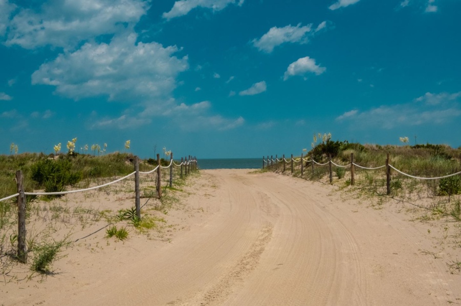 Beach Plum Island