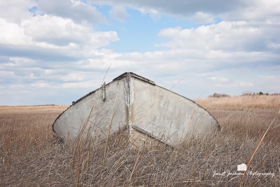 Boat resting in a coastal marsh