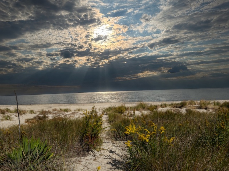 Sunrise along the Delaware coast
