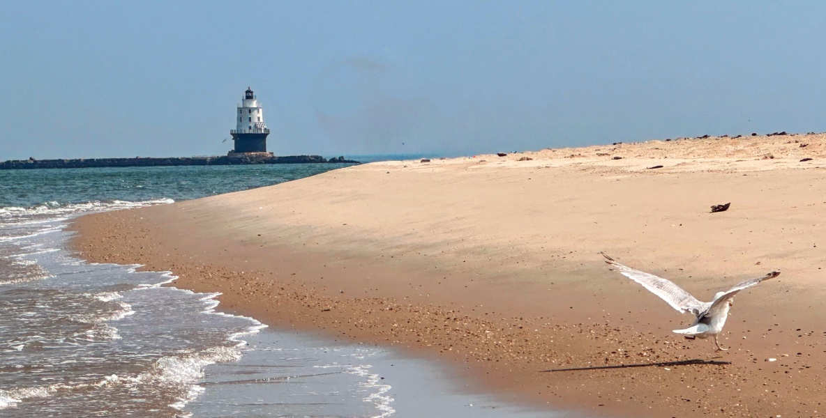Cape Henlopen State Park
