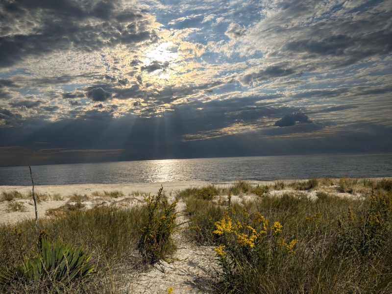 Delaware Beaches