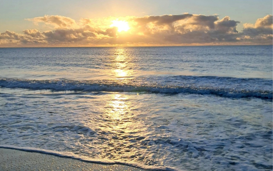 Delaware Seashore State Park