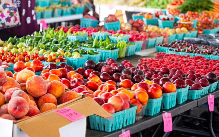 Farmers Markets