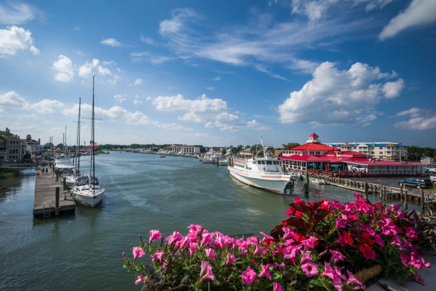 Delaware Town