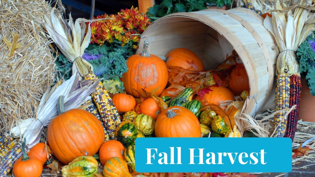 Historic Lewes Harvest Fair