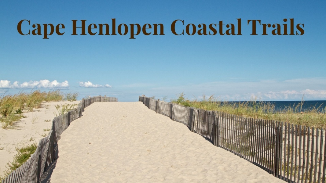 Cape Henlopen Coastal Trails