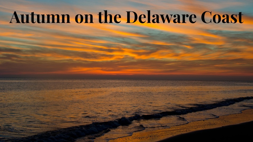 Autumn on the Delaware Coast