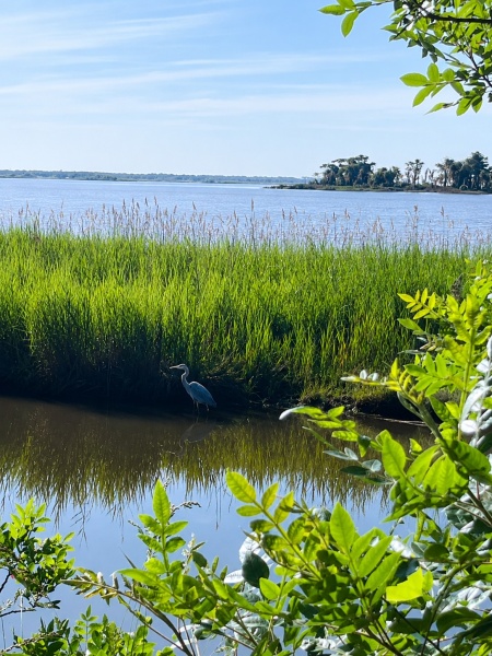 Prime Hook National Wildlife Refuge