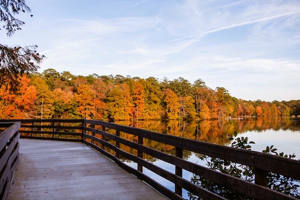 Trap Pond State Park